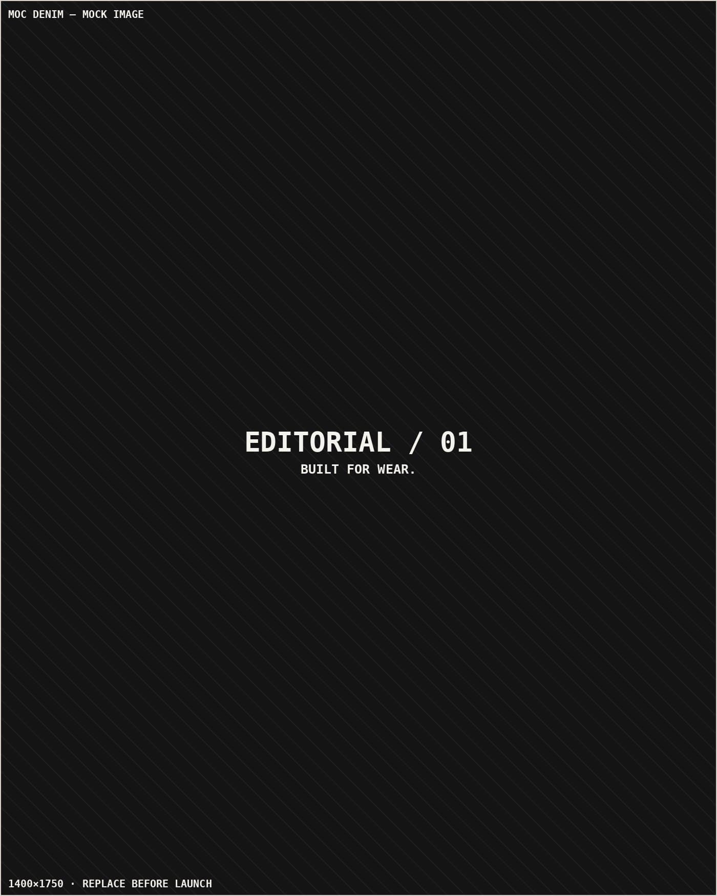 MOC DENIM editorial campaign image (development placeholder)